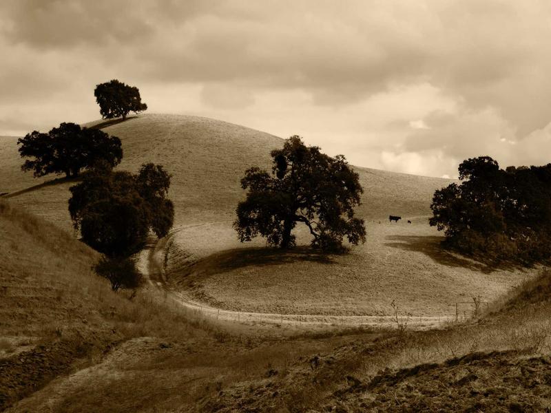 sudoku solver screenshot 6